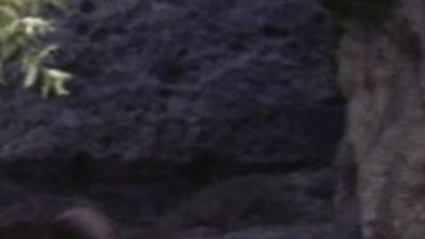 Jeff Burton Naked in Planet of the Apes. Butt, Sexy, Shirtless. 30283