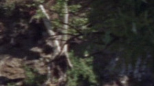 Jeff Burton Nude in Planet of the Apes. Butt, Sexy, Shirtless. 30286