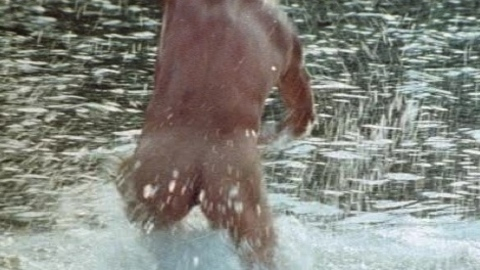 Jackie Chan Naked as Chan Lung. Sexy, Shirtless, Butt. 11763