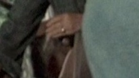 Robert De Niro Nude in Bloody Mama. Balls, Penis. 27430