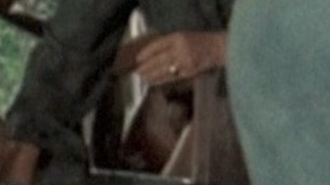 Robert De Niro in Bloody Mama (1970) Penis 27431