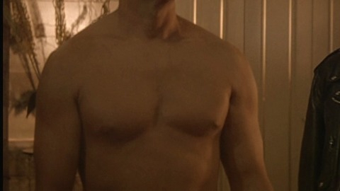 Michael Douglas in Basic Instinct (1992) Shirtless 13134