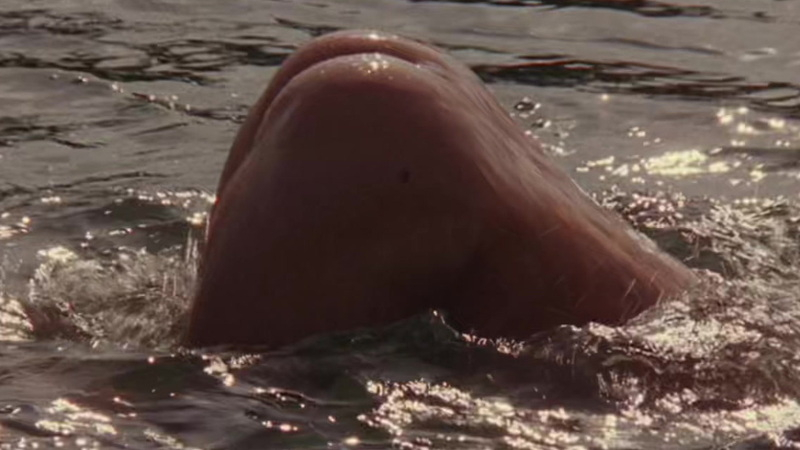 Robert Duvall Naked as Walter. Butt, freckle, mole. 104553