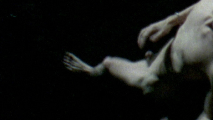 Sam from Habit Naked. Penis, Shirtless. 45269
