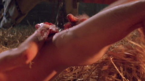 Ralph Fiennes Naked as The Bishop's Son. Balls, Penis, barn, blood. 113415