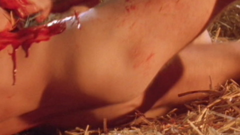 Ralph Fiennes Naked as The Bishop's Son. Butt, balls, barn. 113421