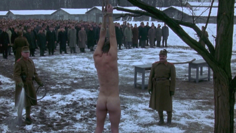 Ralph Fiennes Nude in Sunshine. Butt. 74788