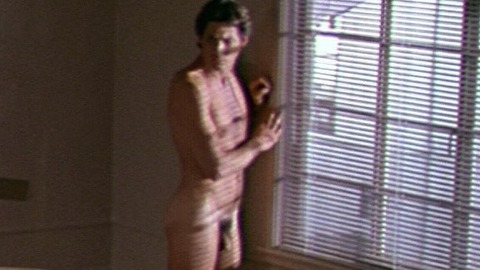 Richard Gere in American Gigolo (1980) Penis Shirtless 47918