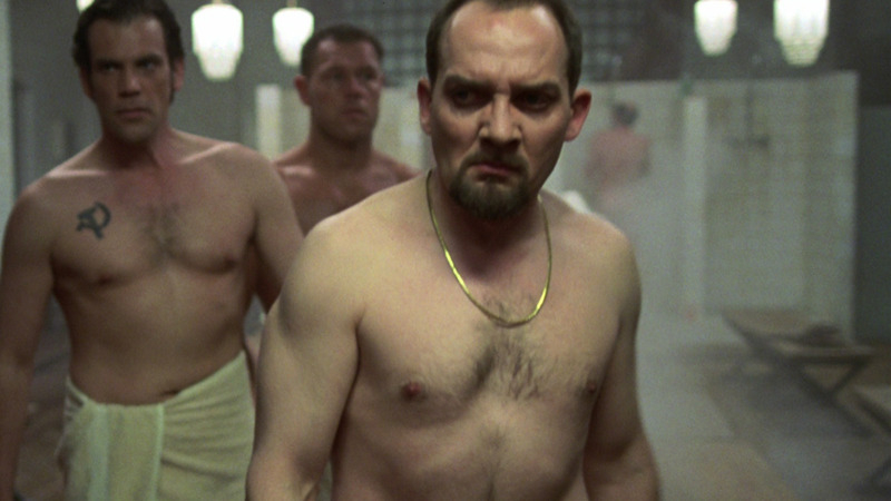 Sexiest Zach Grenier Scene in Maximum Risk. Sexy, Shirtless. 16939