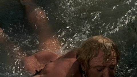 Richard Harris Naked as John Morgan. Sexy, Shirtless, Butt. 16521
