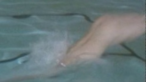 Don Johnson Nude in The Harrad Experiment. Sexy, Shirtless, Butt. 29026