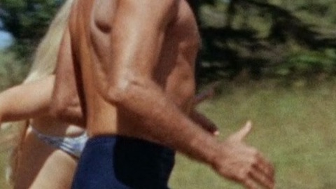 The Swimmer's Sexiest Scenes with Burt Lancaster. Bathing Suit, Sexy, Shirtless, Bulge. 16566