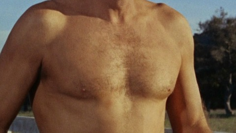 Burt Lancaster in The Swimmer (1968) Sexy Shirtless 16565