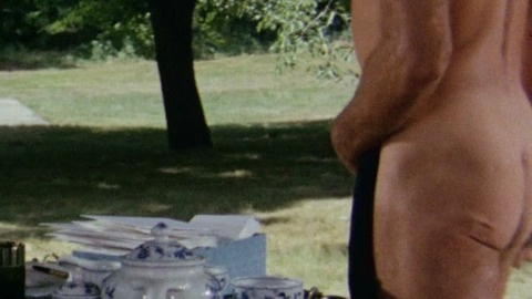 Burt Lancaster Nude as Ned Merrill. Butt, Sexy, Shirtless. 16568