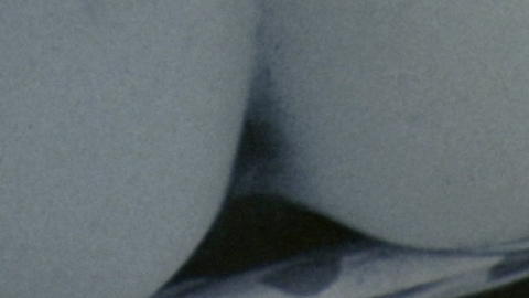 James Le Gros in Point Break (1991) Butt Butthole 4630