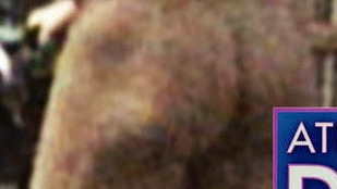 Nudes of Himself (uncredited) from Wanderlust. Butt, Shirtless. 16404