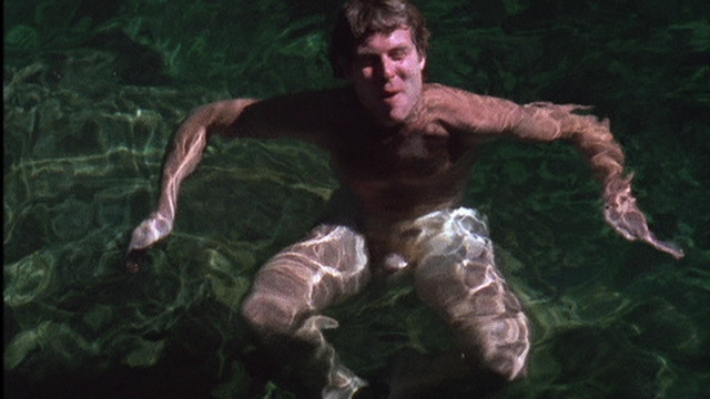 Bruce MacDonald Naked in Return of the Secaucus Seven. Balls, Penis, Shirtless. 45433