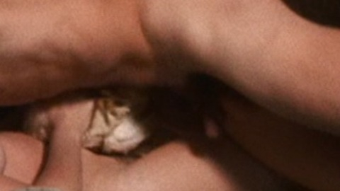 Nudes of Crackers from Pink Flamingos. Penis, Balls. 13470