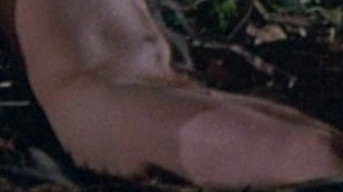 Dan Monahan in Porky's II: The Next Day Penis Shirtless 63883