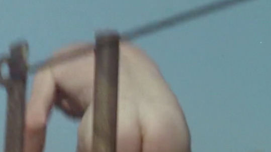David Morrissey Naked as Dick Crick. Balls, Butt, Penis, Shirtless. 38253