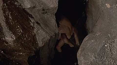 Walker Jerome from A Walk on the Moon Naked. Butt, Sexy, Shirtless, Straight, outdoors, waterfall. 150185