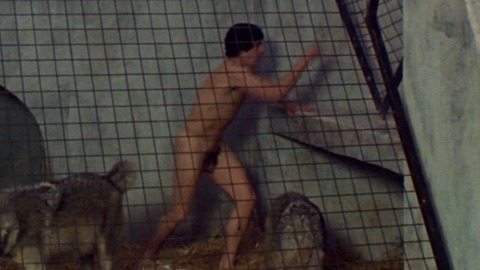 Nudes of David Kessler from An American Werewolf in London. Penis, Shirtless. 59604