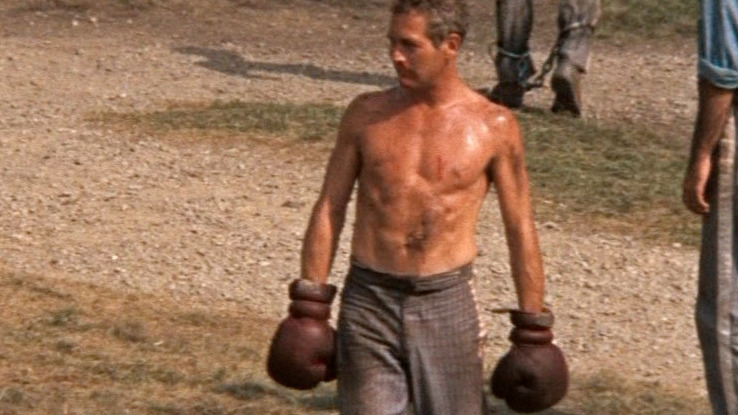 Sexiest Scenes of Luke Jackson from Cool Hand Luke. Shirtless. 8477