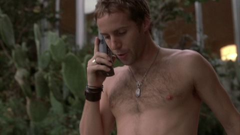 Alessandro Nivola in Laurel Canyon (2003) Shirtless 75847