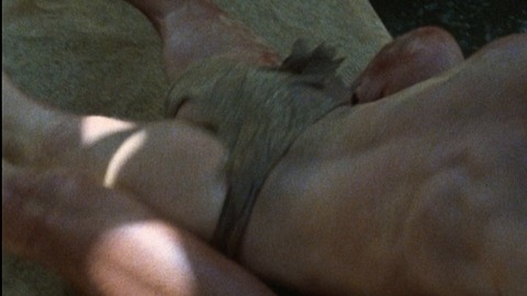 Tarzan from Tarzan, the Ape Man Naked. Butt, Shirtless. 73847