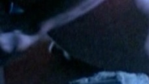 Robert Patrick in Terminator 2: Judgment Day (1991) Shirtless Balls Penis 9474