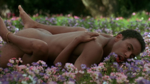 Allen Payne Naked in Jason's Lyric. Butt, Straight, field, flowers. 25165