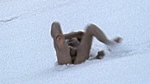 Mickey Rourke in Francesco (1989) Balls Butt Penis Shirtless 44824