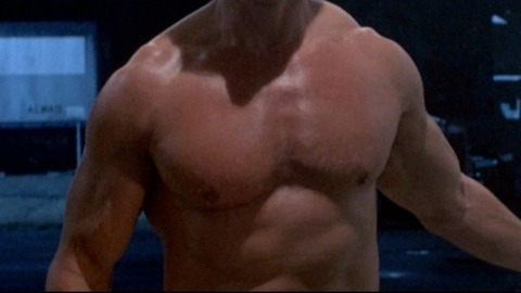 Arnold Schwarzenegger in Terminator 2: Judgment Day (1991) Shirtless 9475
