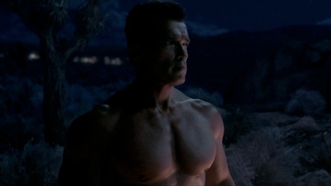 Terminator 3: Rise of the Machines's Sexiest Scenes with Arnold Schwarzenegger. Shirtless, Sexy. 8886