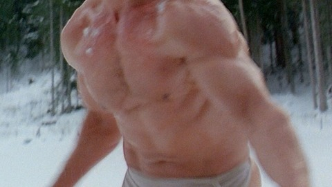 Arnold Schwarzenegger in Red Heat (1988) Shirtless 10449