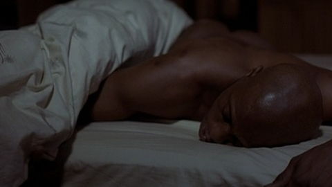 Wesley Snipes Naked in Disappearing Acts. Shirtless, Butt, Sexy. 10543
