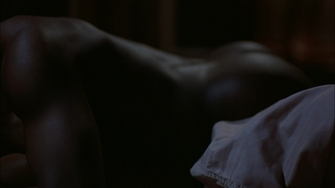 Wesley Snipes Nude in Disappearing Acts. Shirtless, Butt, Straight. 10540