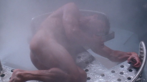 John Spartan from Demolition Man Naked. Butt, Shirtless, fog, mist. 194879