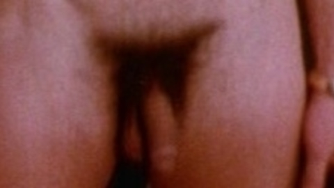 Sylvester Stallone Nude as Stud. Shirtless, Penis, Balls. 4358