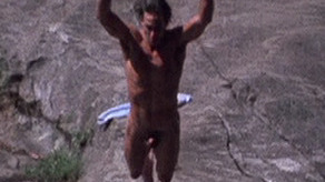 David Strathairn Naked as Ron Desjardins. Balls, Penis, Shirtless. 45435