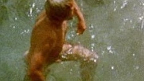 Jack Thompson Nude in Petersen. Penis, Shirtless. 29278