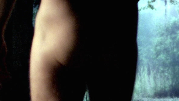 Sam Trammell Naked as Sam Merlotte. Shirtless, Butt. 16299