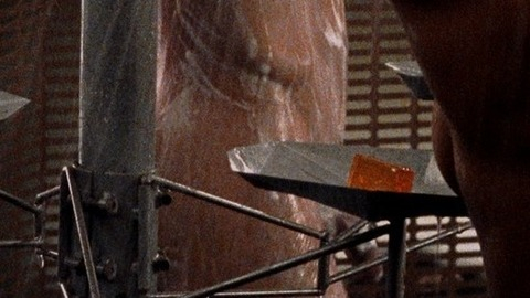 Casper Van Dien Nude in Starship Troopers. Penis, Shirtless. 74200