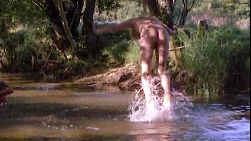James Wilby Naked in A Summer Story. Butt. 84991
