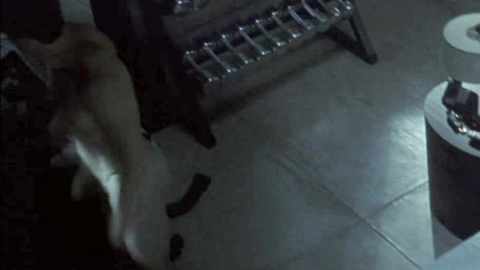 Billy Campbell Nude as Mitch Hiller. Butt, Shirtless, bedroom, dark. 142724