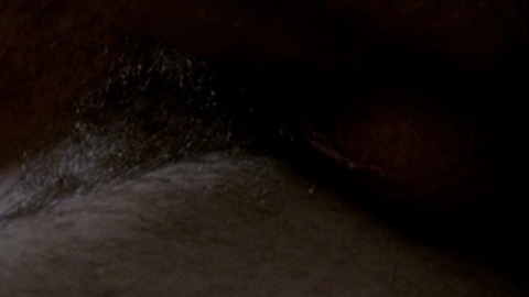 Rocco Siffredi in Anatomy of Hell (2004) Balls Penis Shirtless Straight 7961