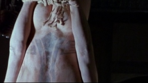 Matthew Rhys Naked in Titus. Butt. 1237