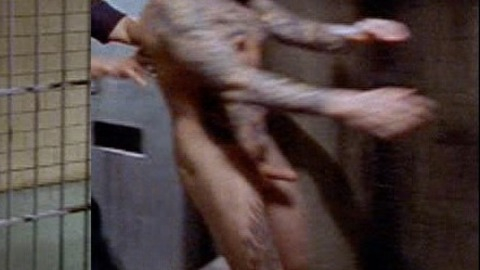 Evan Seinfeld Nude in Oz. Balls, Penis, Shirtless. 10660