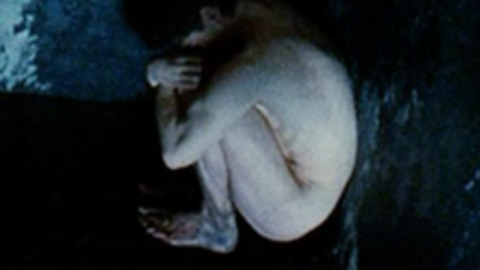 Colin Farrell in Hart's War (2002) Sexy Shirtless Butt 2669