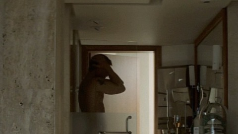 Daniel Craig in Flashbacks of a Fool (2008) Shirtless Sexy 2806